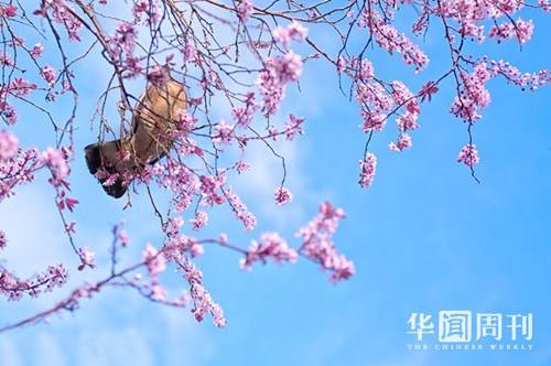 合肥小程序開發資訊